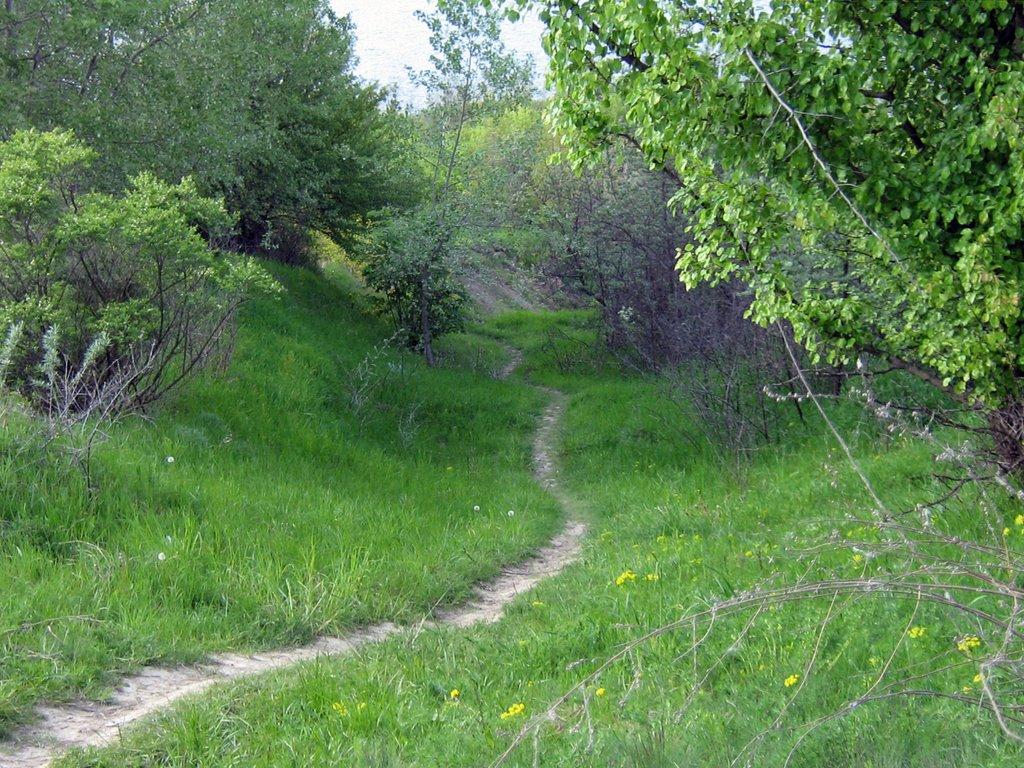 Витачів з panoramio.com - Витачев