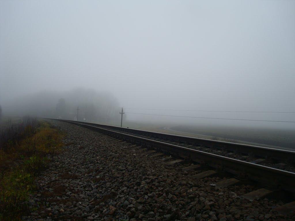 Соколівка з panoramio.com - Соколівка