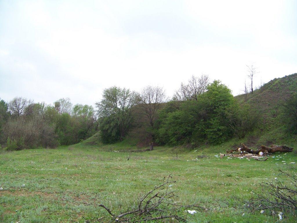 Канівське з panoramio.com - Каневское