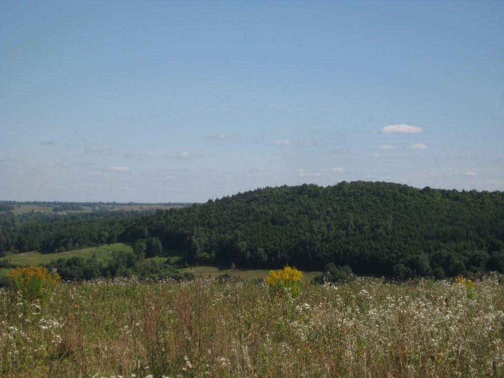 Суйми з panoramio.com - Суйми