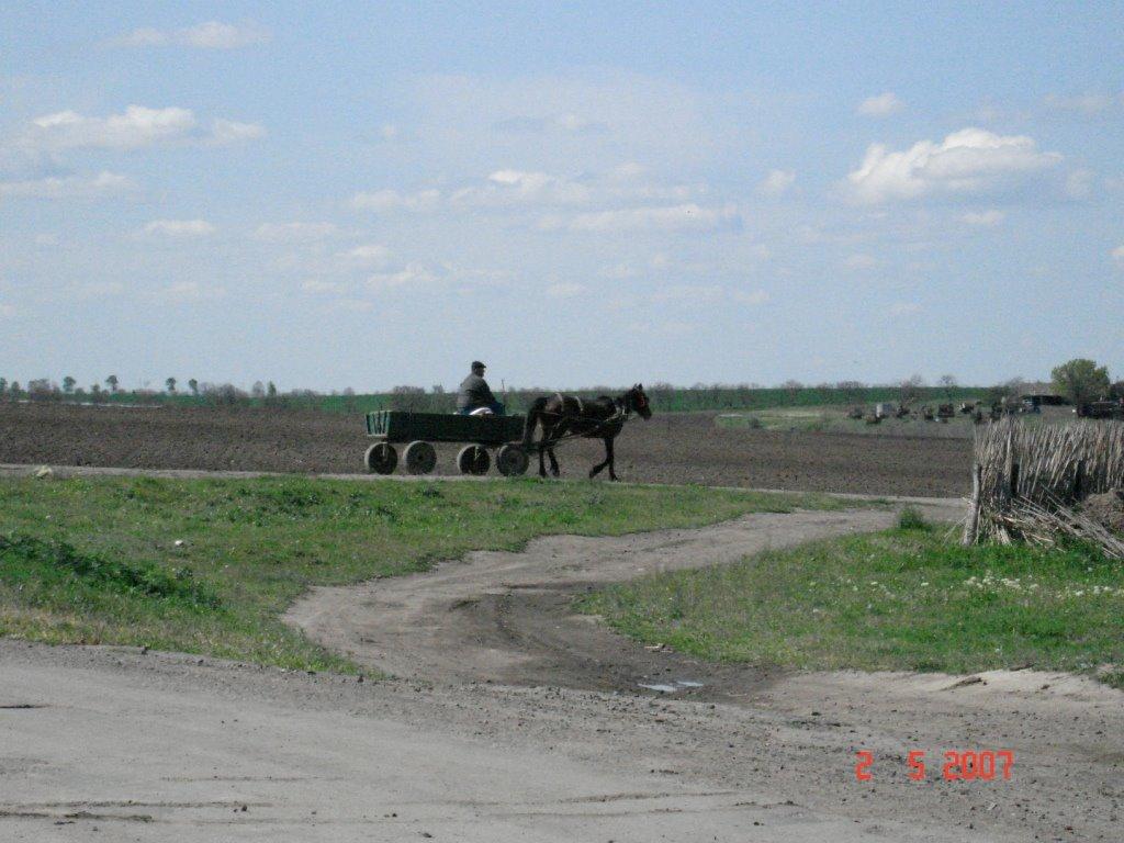 Приозерне з panoramio.com - Приозерне