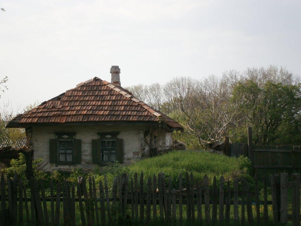 Петровське з panoramio.com - Петровське