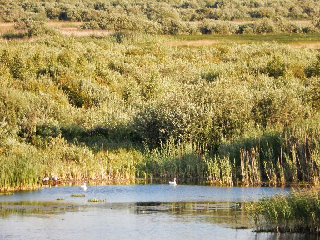 Тутовичі з panoramio.com - Тутовичи