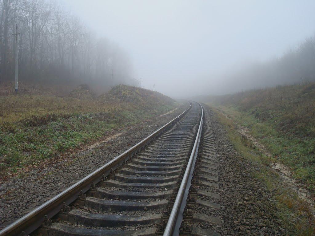 Томашівка з panoramio.com - Томашівка