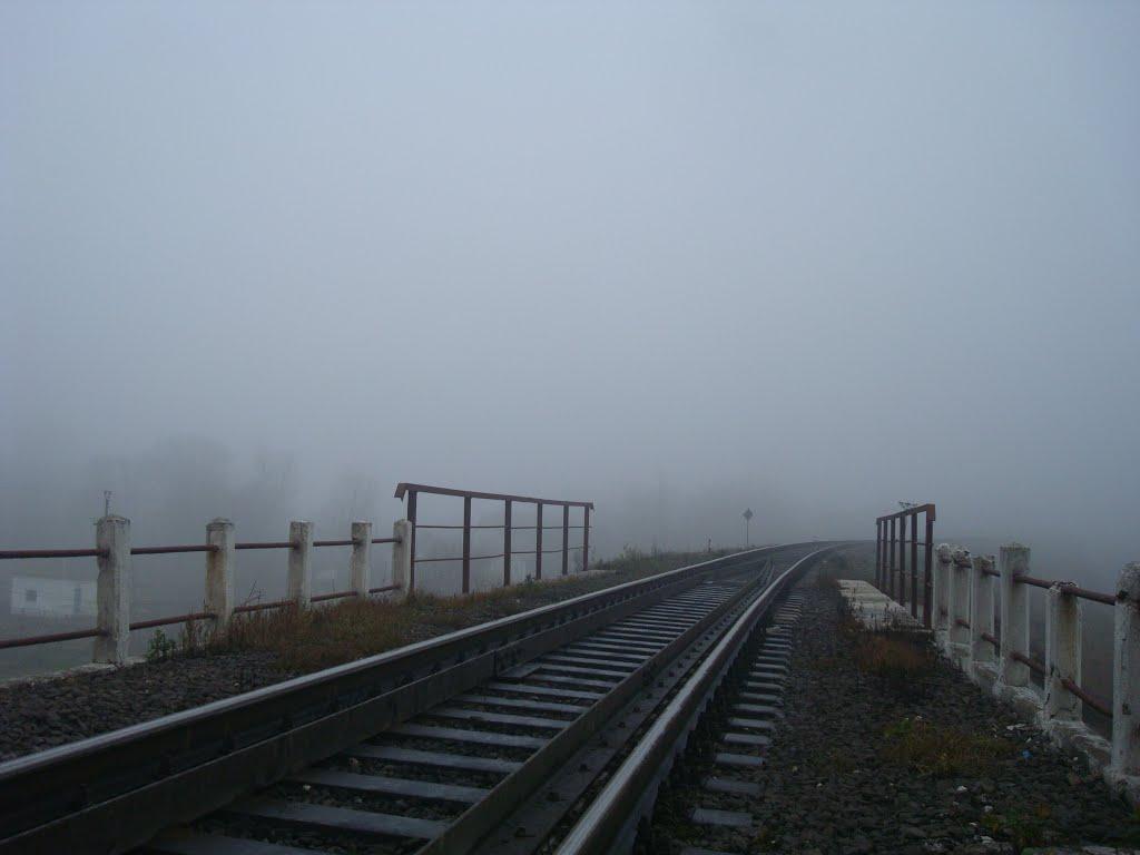 Томашівка з panoramio.com - Томашівка