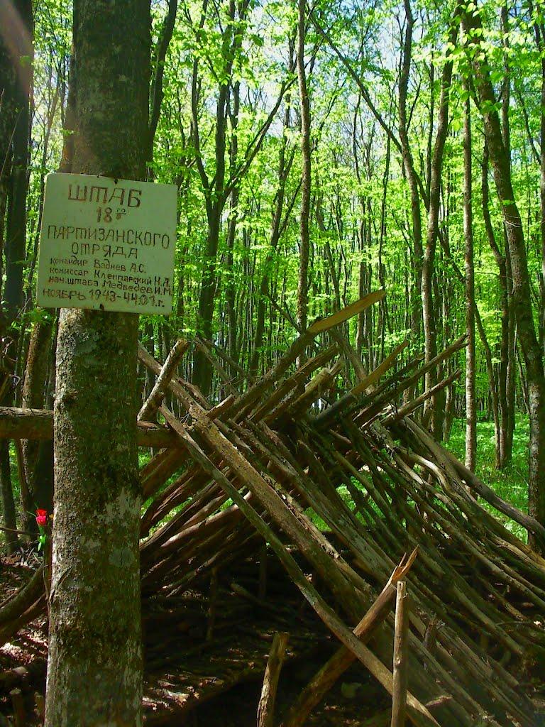 Чайковське з panoramio.com (ч.2) - Чайковское
