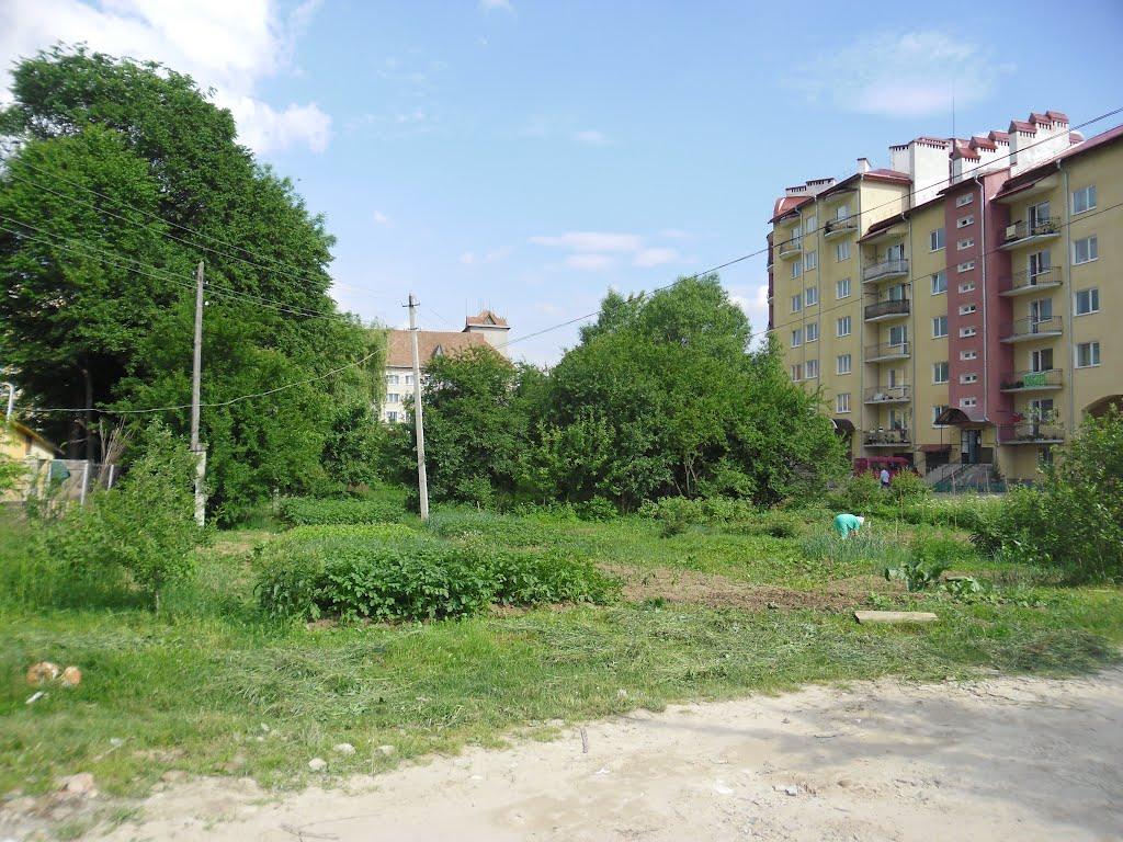 Богородчани з panoramio.com - Богородчани