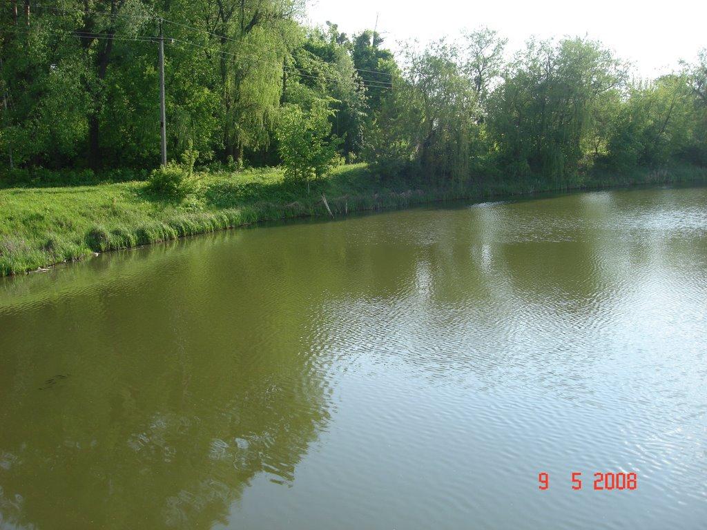 Городище з panoramio.com - Городище