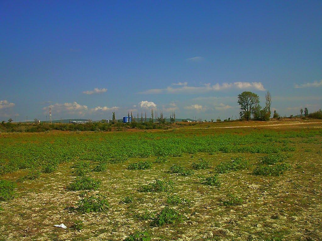 Поштове з panoramio.com - Поштове