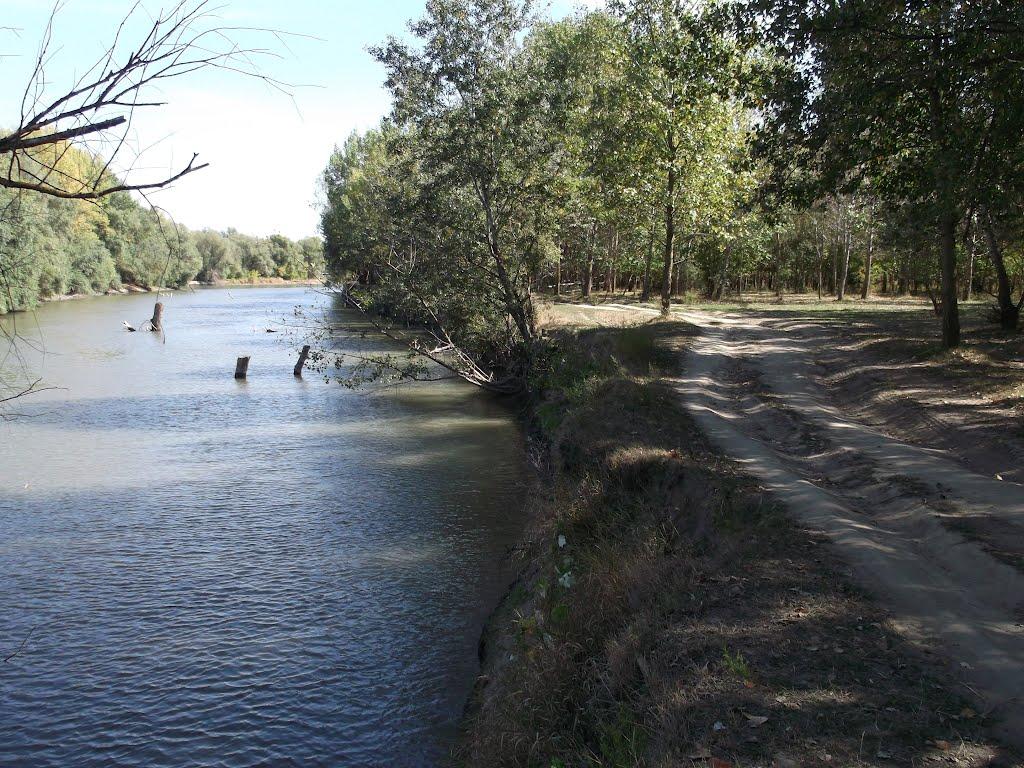 Троїцьке з panoramio.com - Troitske