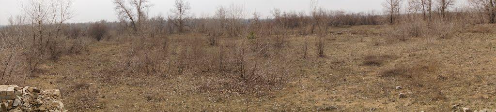 Кряківка з panoramio.com - Кряковка