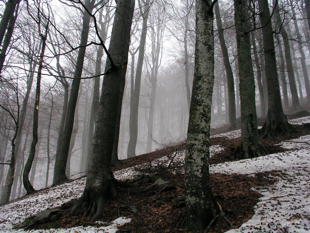 Березники з panoramio.com - Березники