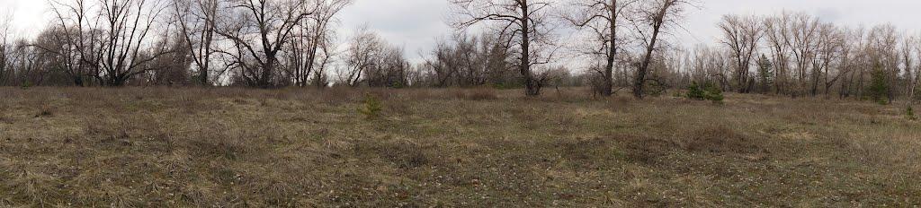 Кряківка з panoramio.com - Кряковка