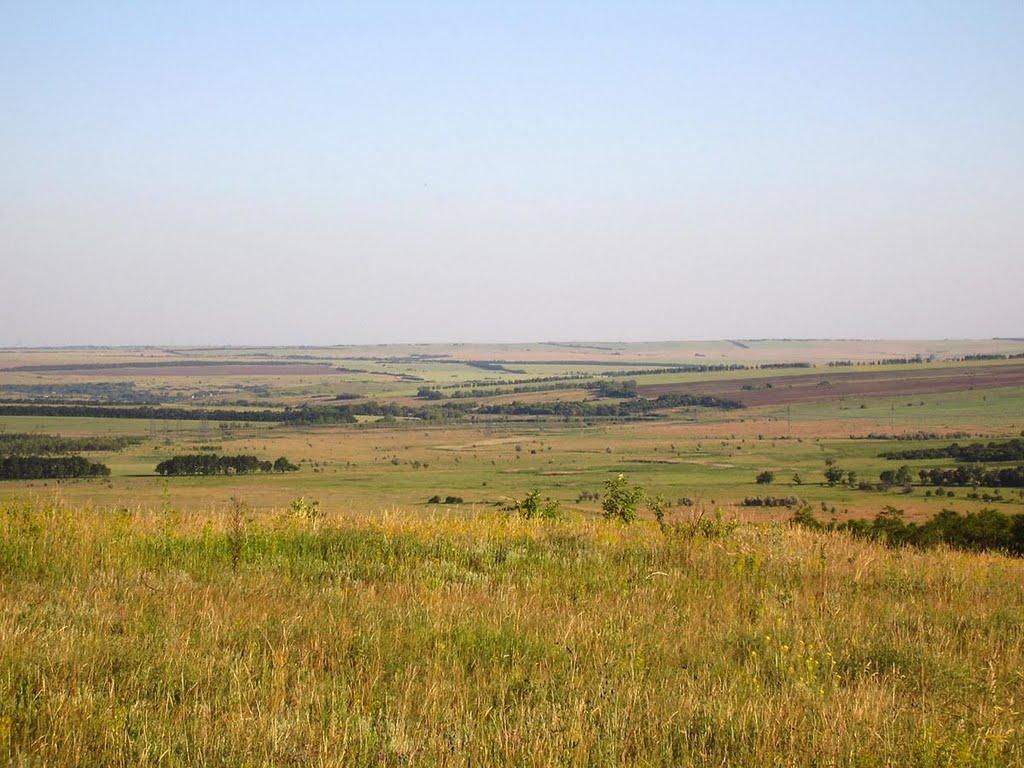 Новозванівка з panoramio.com - Новозвановка