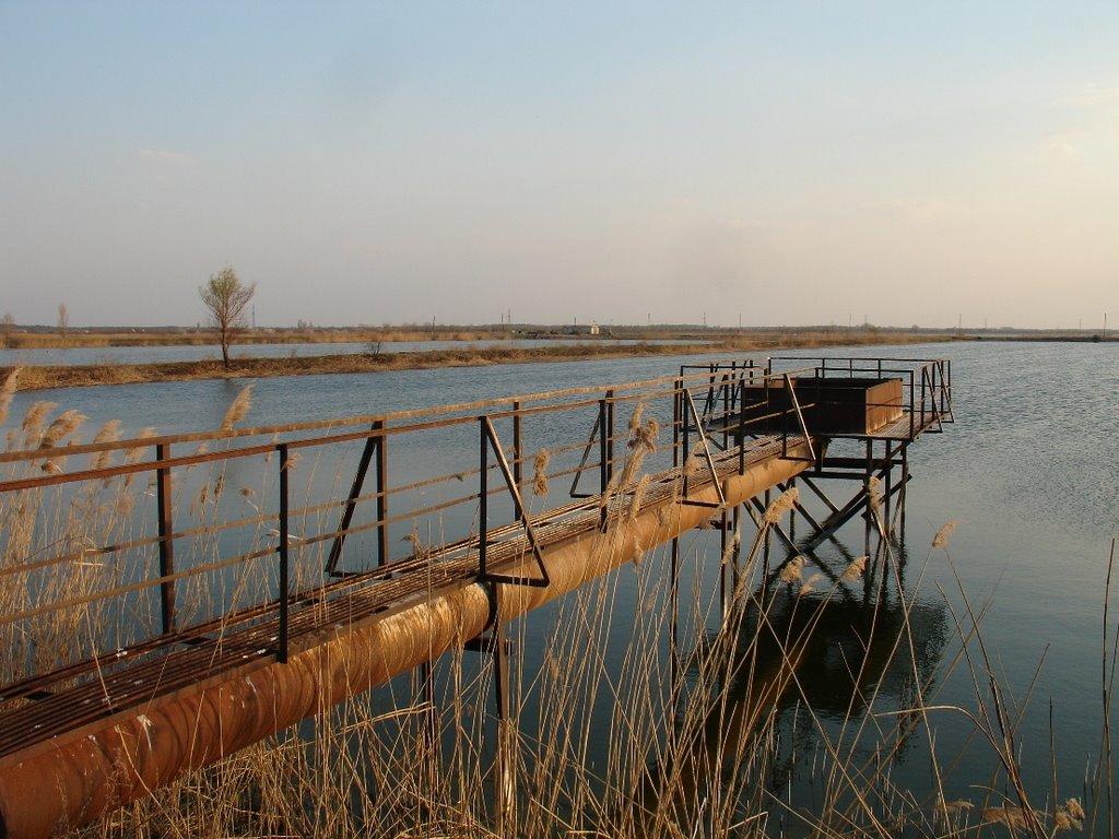 Солонці з panoramio.com