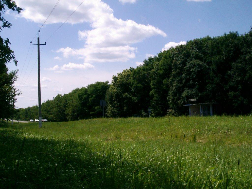 Старий Салтів з panoramio.com - Старий Салтів