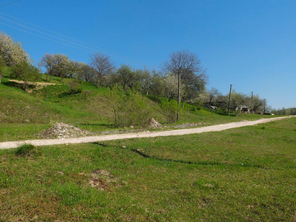 Старе Село з panoramio.com - Старое Село