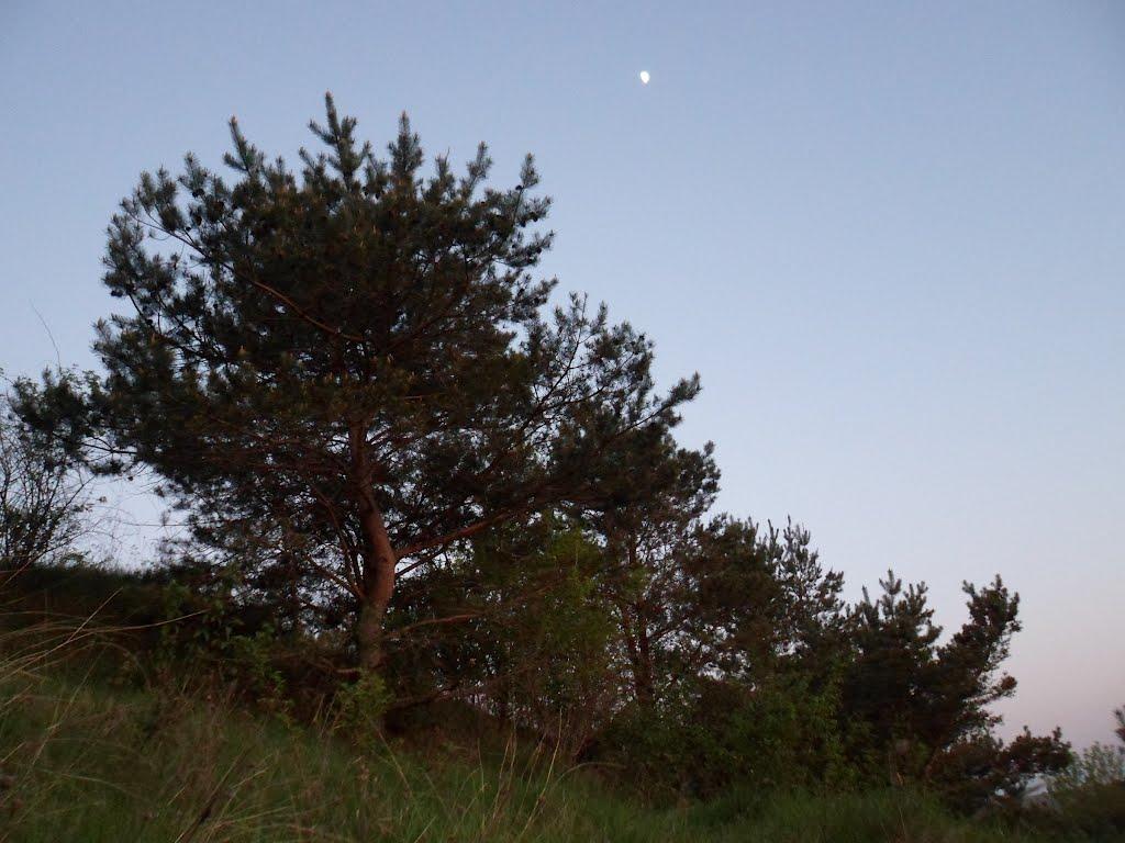 Ворвулинці з panoramio.com - Ворвулинці