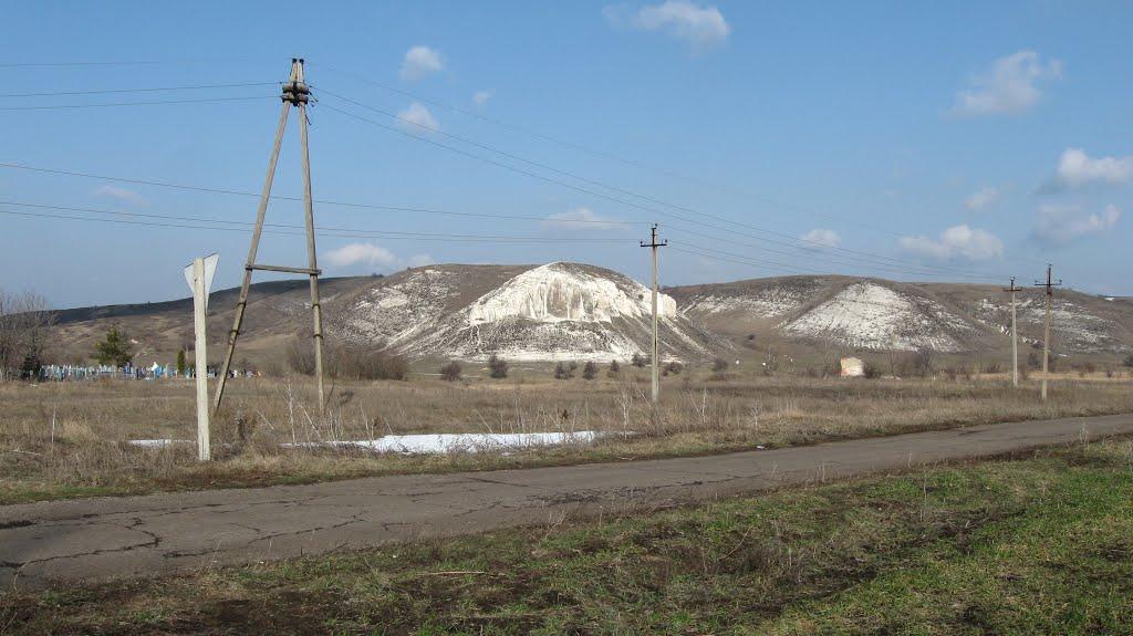 Білокузьминівка з panoramio.com - Білокузьминівка