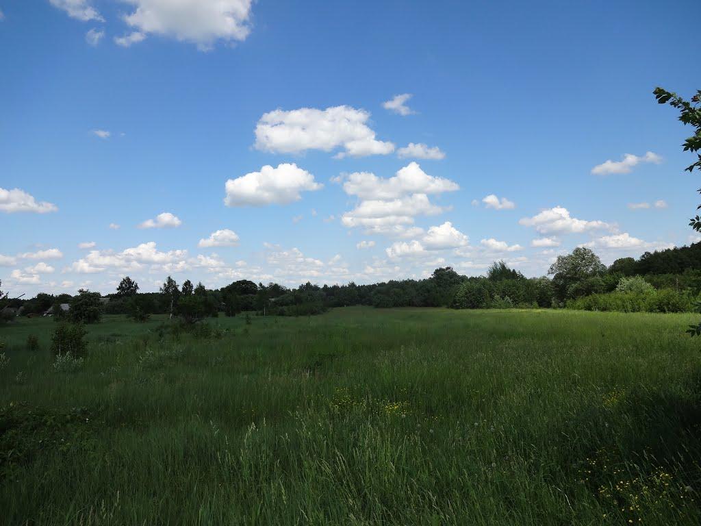 Писарівка з panoramio.com - Писарівка