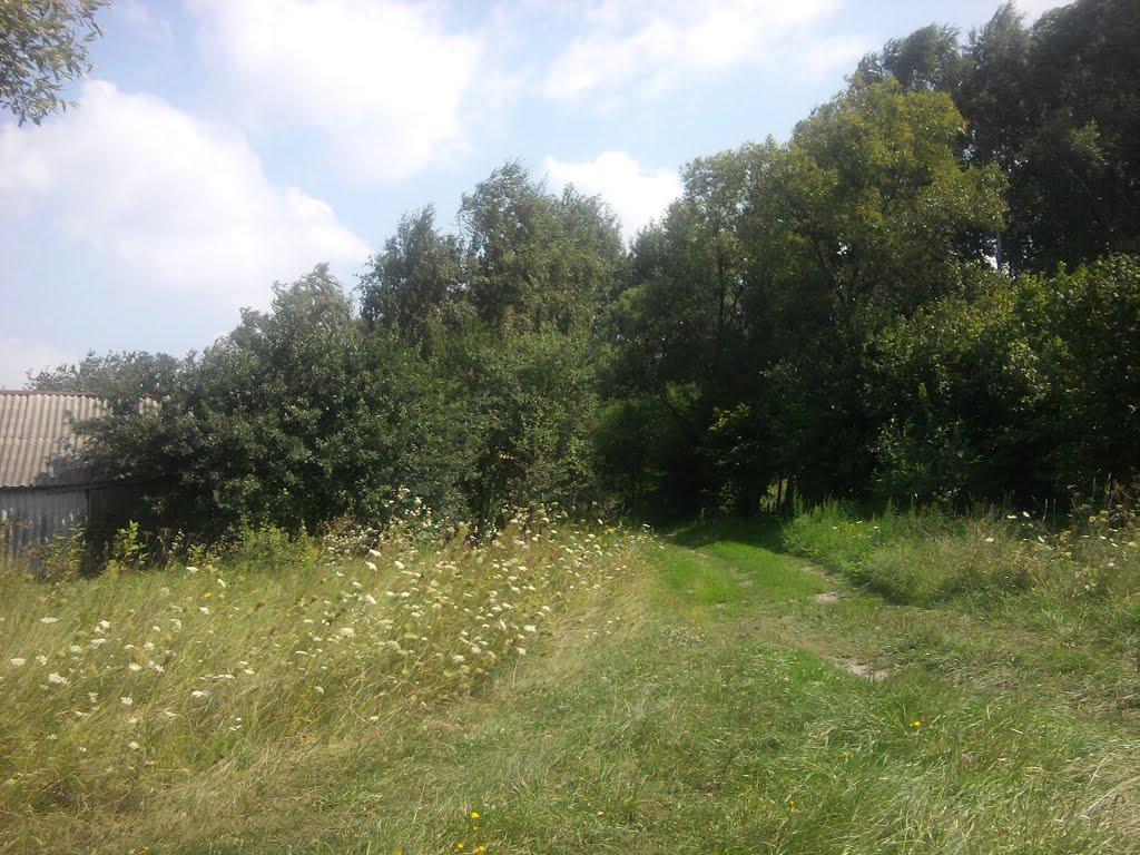 Терехівка з panoramio.com - Терехівка