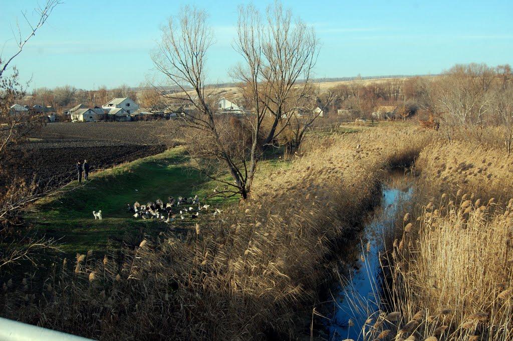 Єпіфанівка з panoramio.com - Єпіфанівка