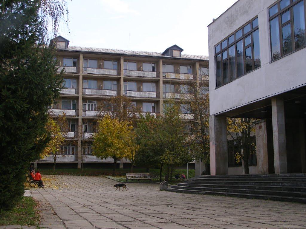 Поляна з panoramio.com - Поляна