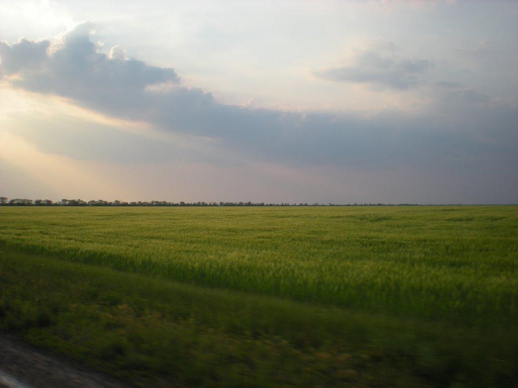 Степне з panoramio.com - Степне