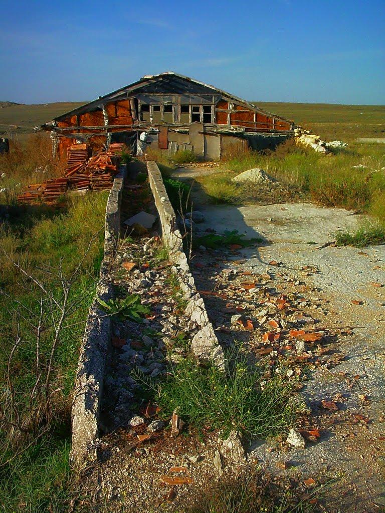 Трудове з panoramio.com - Трудовое