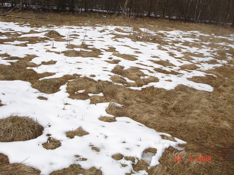 Красноїльськ з panoramio.com - Красноильск