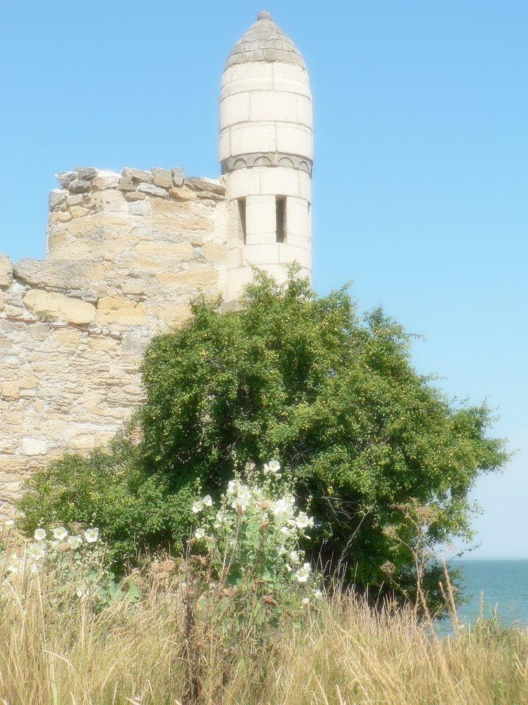 Глазівка з panoramio.com - Глазівка