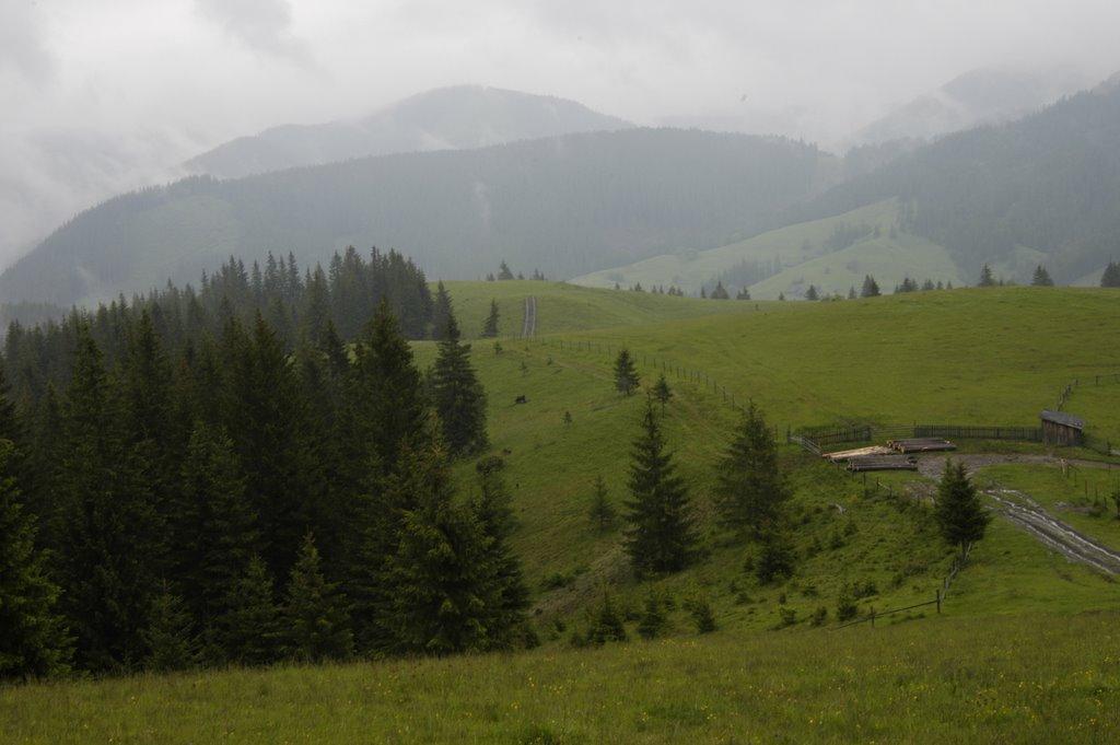 Верхній Яловець з panoramio.com - Верхній Яловець