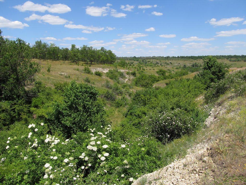 Осокорівка з panoramio.com - Осокоровка