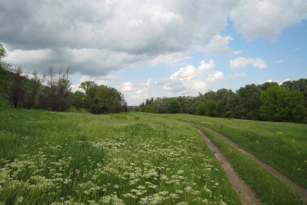 Гарасимівка з panoramio.com - Гарасимівка