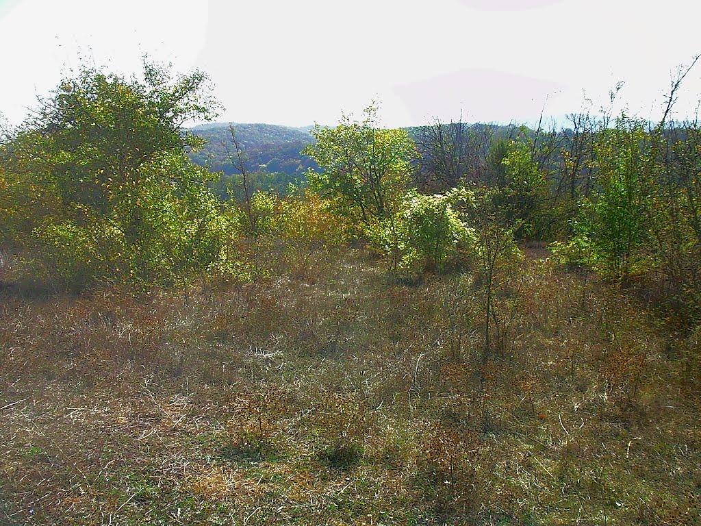 Верхоріччя з panoramio.com - Верхоречье