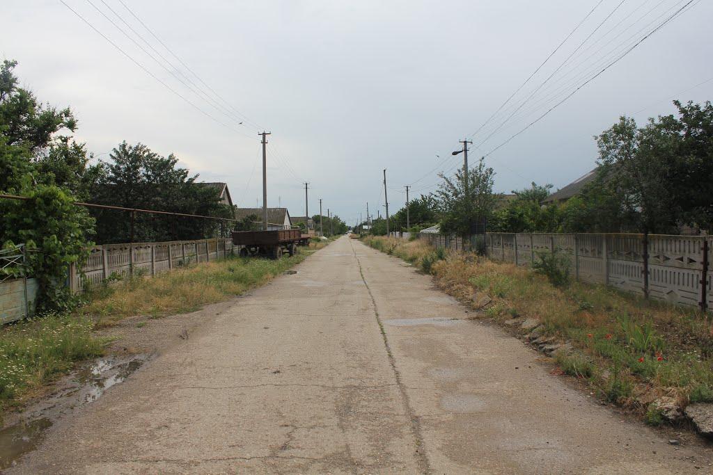 П'ятихатка з panoramio.com - Пятихатка