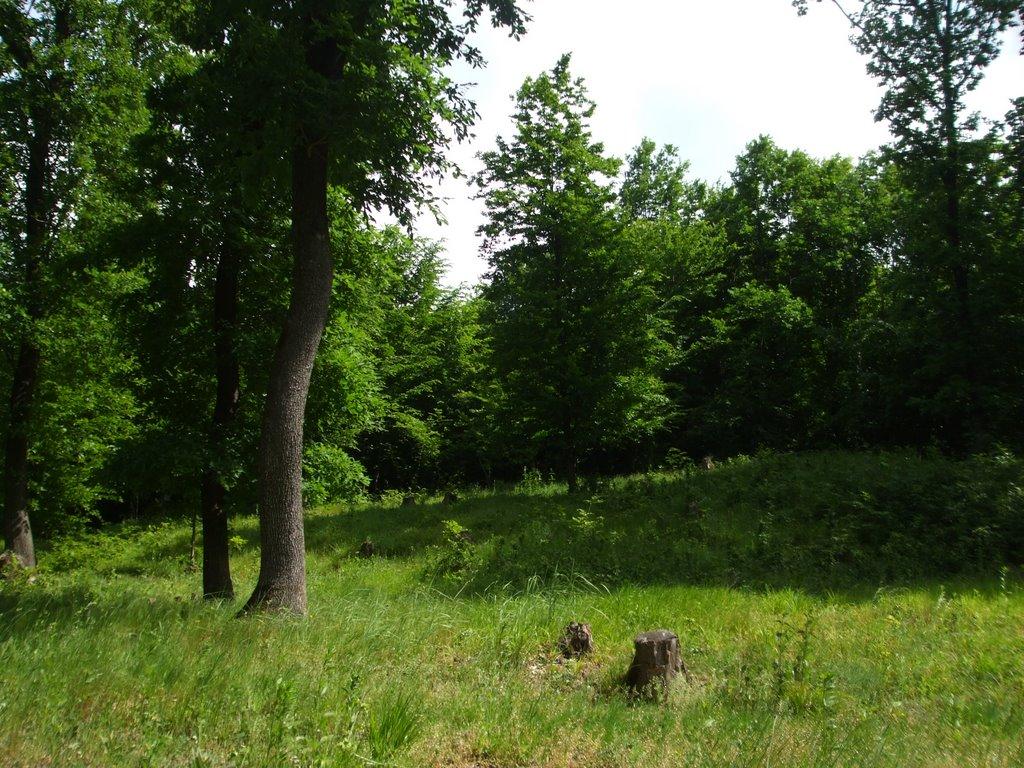 Могилівка з panoramio.com - Могилівка