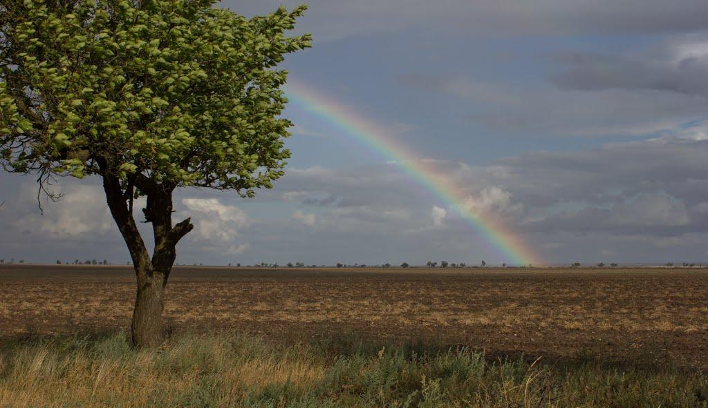 Стовпове з panoramio.com - Стовпове
