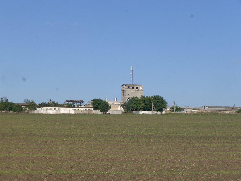 Василівка з panoramio.com - Василівка