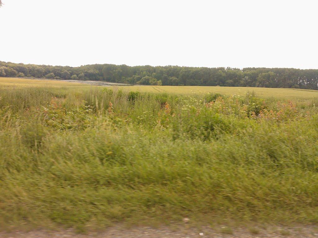 Амбуків з panoramio.com - Амбуків