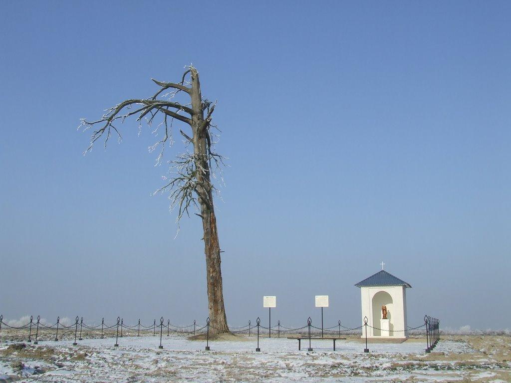 Угнів з panoramio.com - Угнев