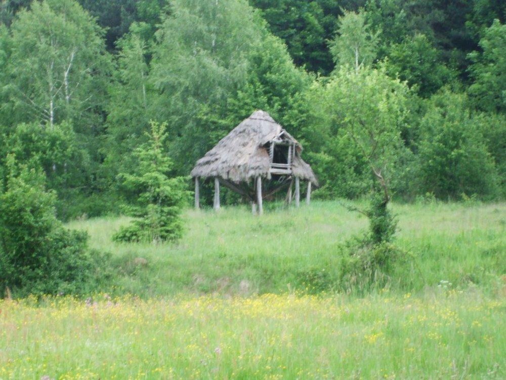 Княгиня з panoramio.com - Княгиня
