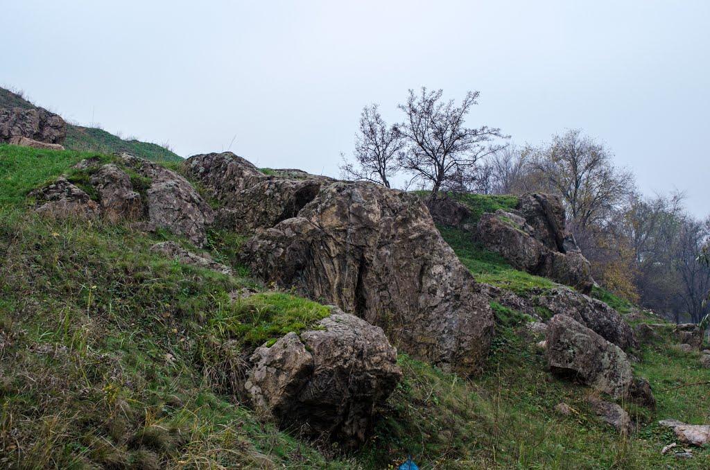 Вільне з panoramio.com - Вольное
