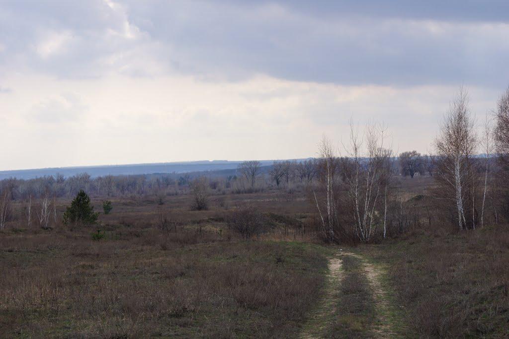Кряківка з panoramio.com - Кряковка