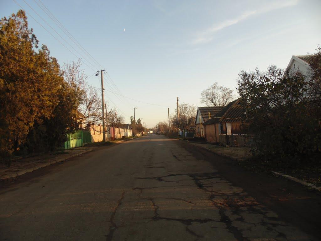 Березнегувате з panoramio.com - Березнегувате