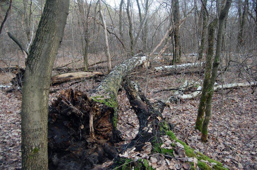 Муратове з panoramio.com - Муратово