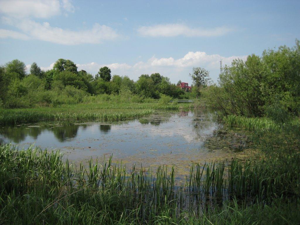 Новоугрузьке з panoramio.com - Novougruzke
