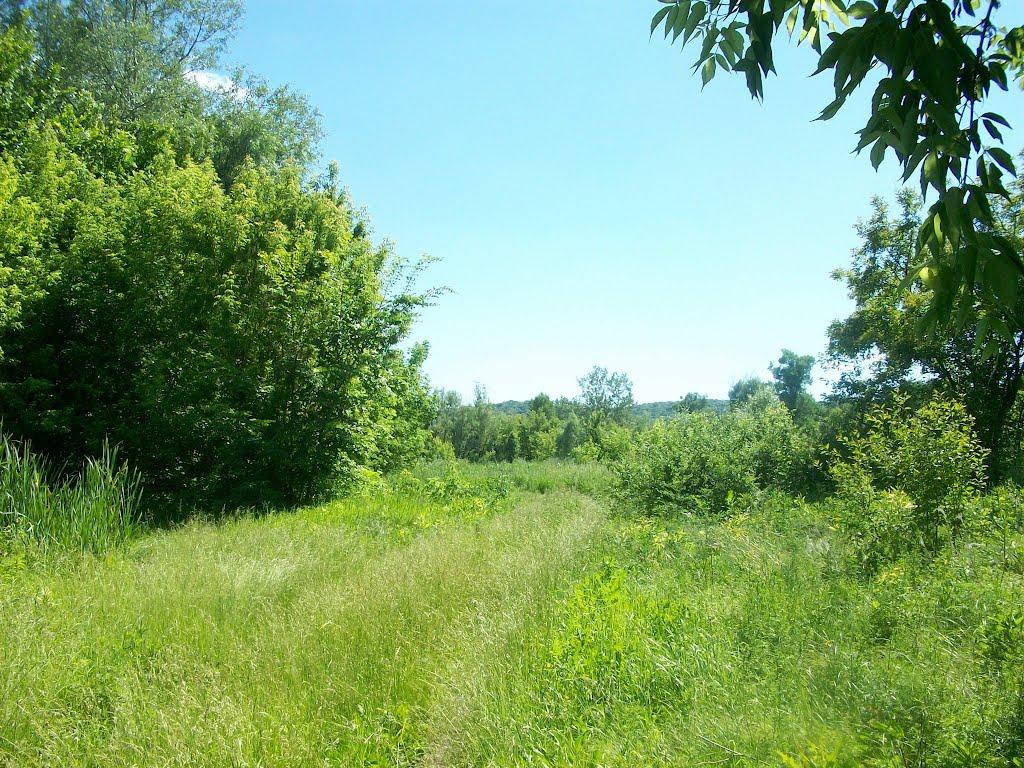 Богородичне з panoramio.com - Богородичное