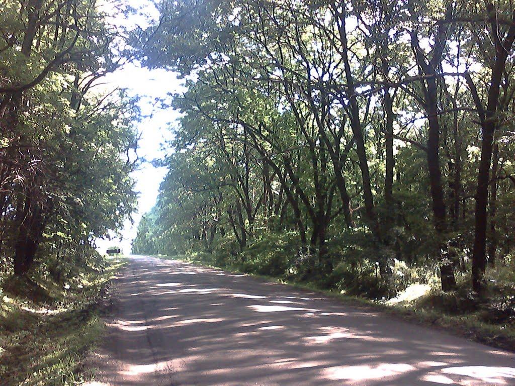 Оникієве з panoramio.com - Оникієве