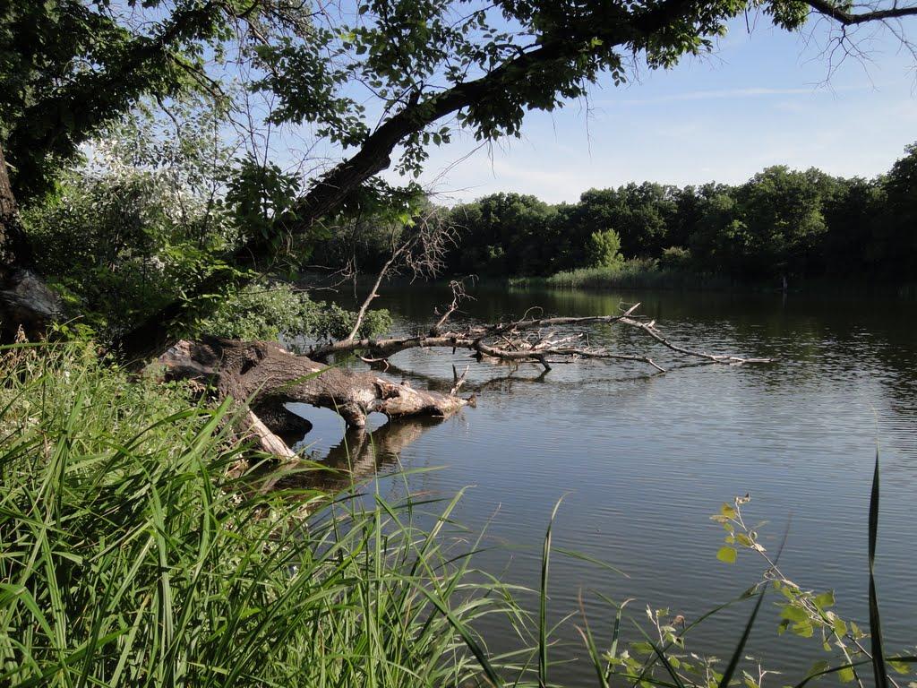 Нижнє з panoramio.com - Нижнє